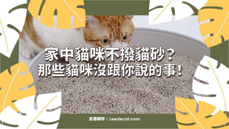 貓砂ptt 里德貓砂leedecat