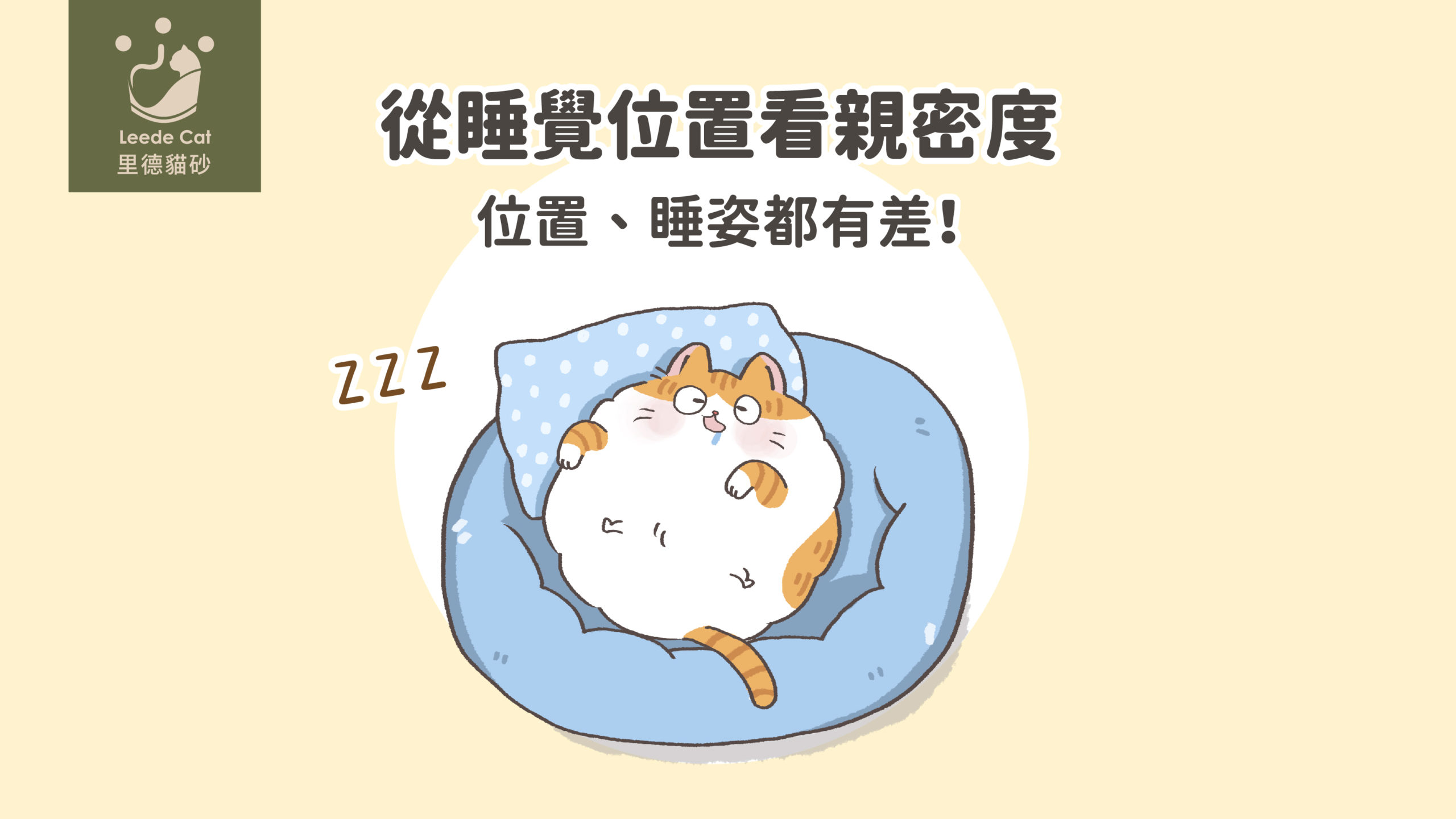 從睡覺位置看你與貓咪的親密度！位置、睡姿都有差！ – 里德貓砂LEEDECAT